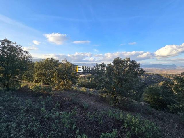 Terreno en venta en Los Vélez, Andalucía