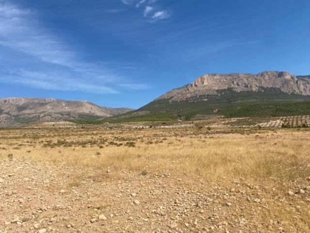 Terreno en venta en Los Vélez, Andalucía