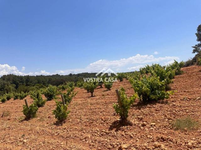 Terreno en venta en La Plana de Utiel-Requena, Valencia