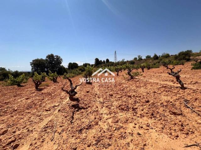 Terreno en venta en La Plana de Utiel-Requena, Valencia