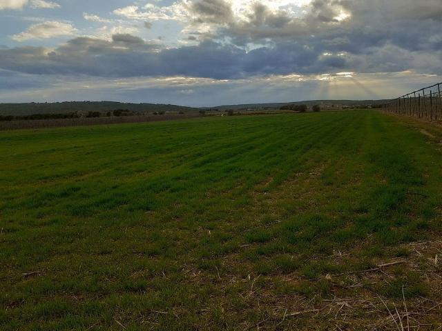 Terreno en venta en Alt Empordà, Catalunya