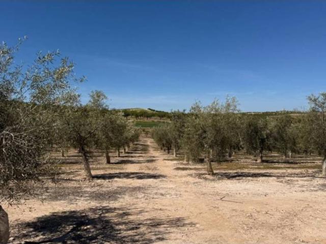 Terreno en venta en Ventas de Huelma, Granada