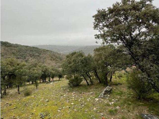 Terreno en venta en Venturada, Madrid