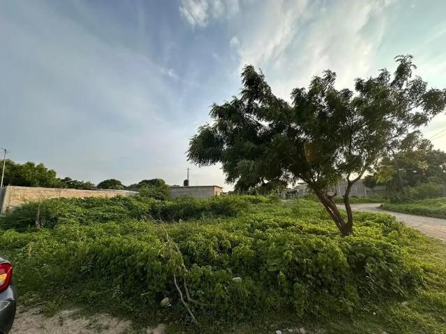 Terreno en venta en Arriaga, Chiapas