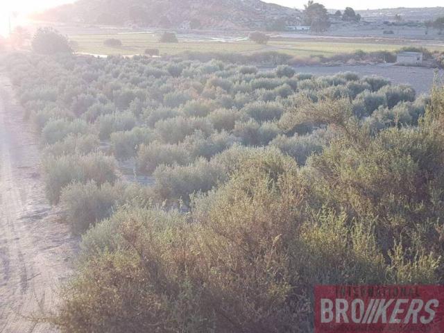 Terreno en venta en Vera, Andalucía