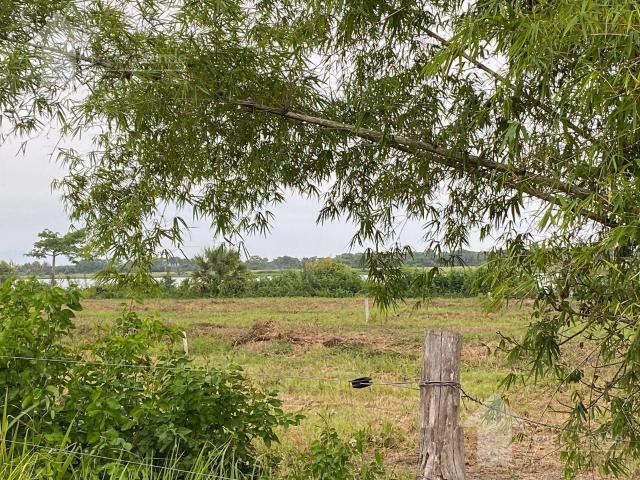 Terreno en venta en Tlacotalpan, Veracruz