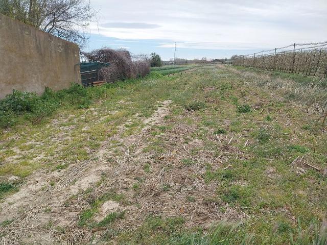 Terreno en venta en Baix Empordà, Catalunya