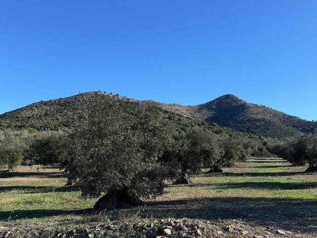 Terreno en venta en Baix Empordà, Catalunya