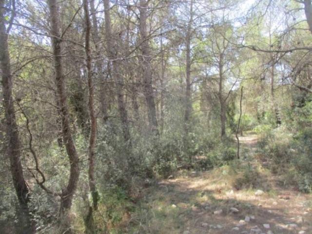 Terreno en venta en Tarragonès, Catalunya