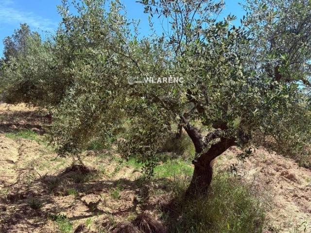 Terreno en venta en Tarragonès, Catalunya