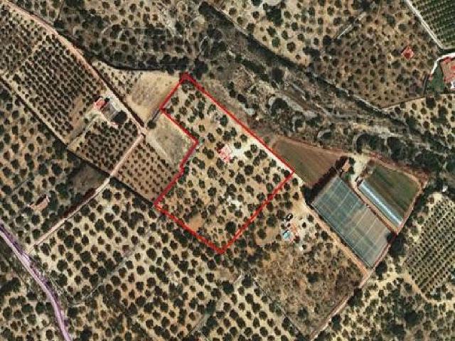 Terreno en venta en Camarles