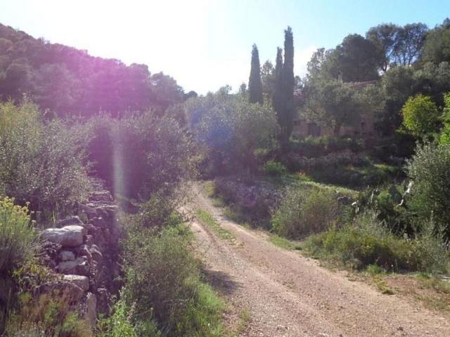 Terreno en venta en Ribera d'Ebre, Catalunya