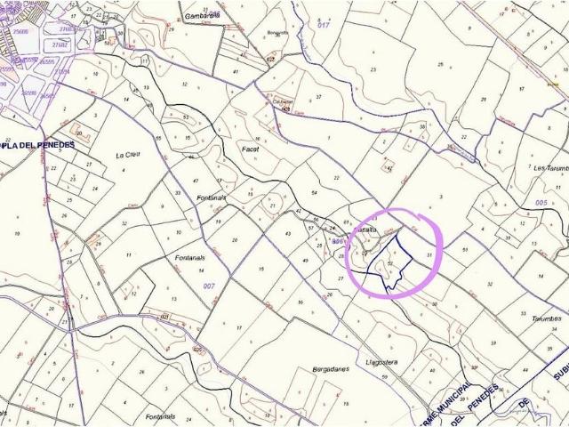 Terreno en venta en Alt Penedès, Catalunya