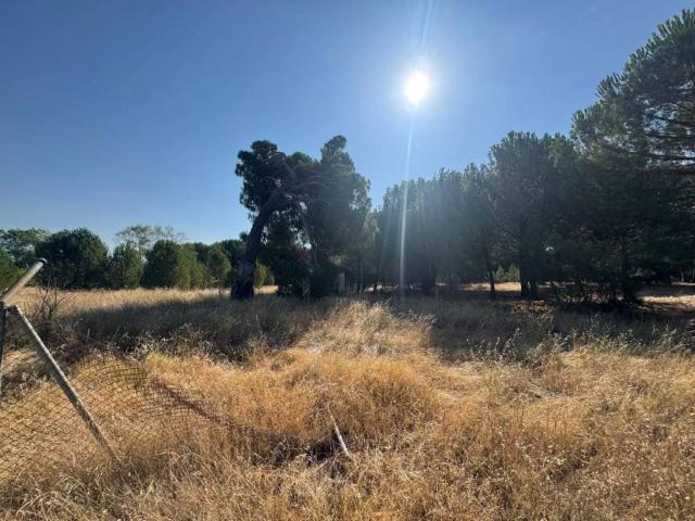 Terreno en venta en Viana De Cega, Castilla y León