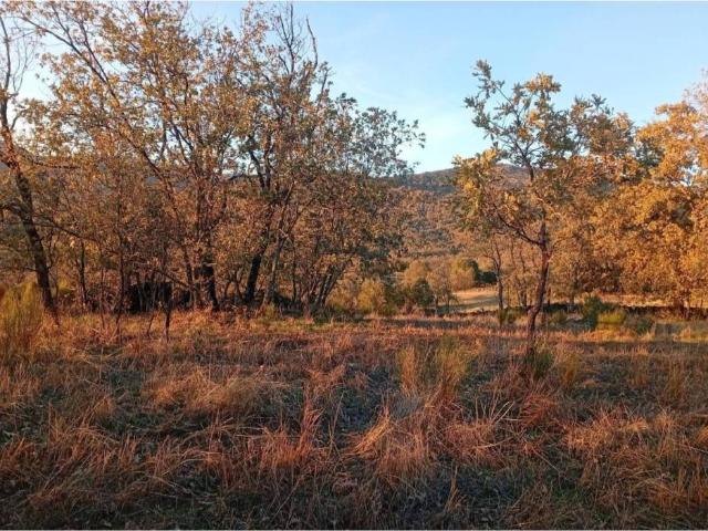Terreno en venta en Viandar De La Vera, Extremadura