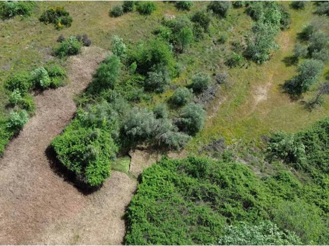 Terreno en venta en Viandar De La Vera, Extremadura