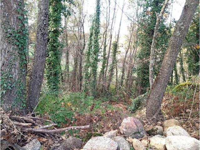 Terreno en venta en Viandar De La Vera, Extremadura