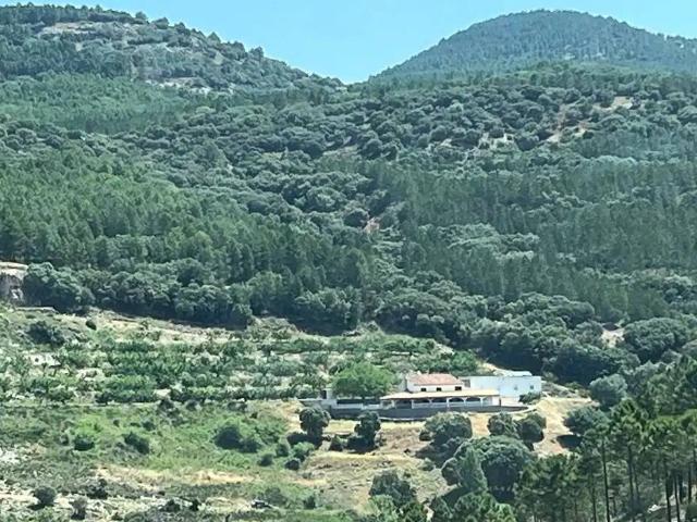 Terreno en venta en Vianos, Castilla-La Mancha