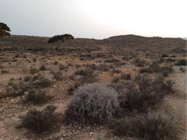 Terreno en venta en Viator, Andalucía