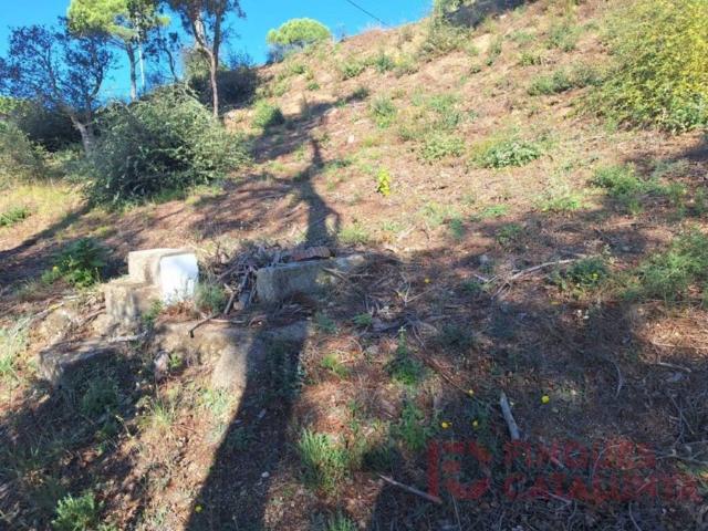 Terreno en venta en la Selva, Catalunya
