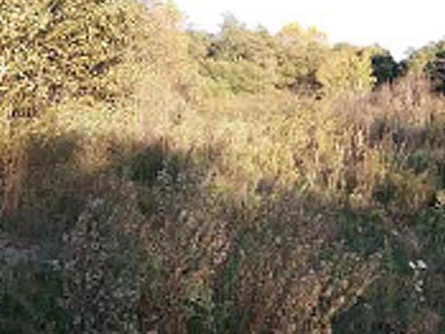 Terreno en venta en la Selva, Catalunya
