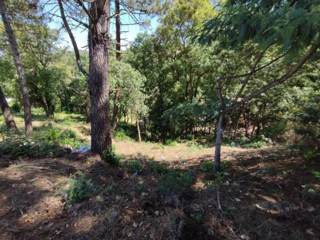 Terreno en venta en la Selva, Catalunya