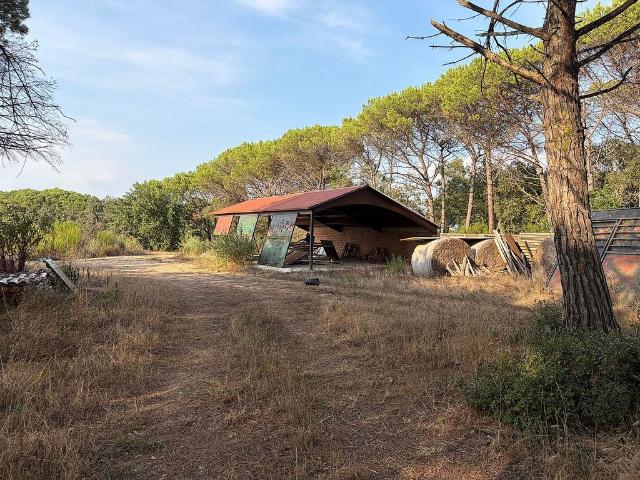 Terreno en venta en la Selva, Catalunya