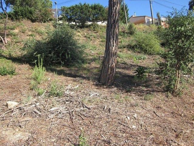 Terreno en venta en la Selva, Catalunya