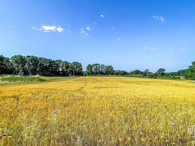 Terreno en venta en la Selva, Catalunya