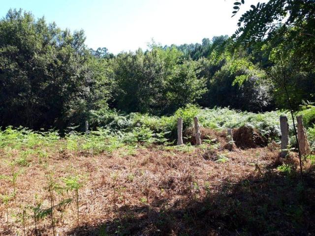 Terreno en venta en Vigo