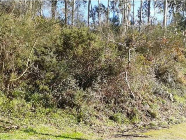 Terreno en venta en Zamáns, Vigo