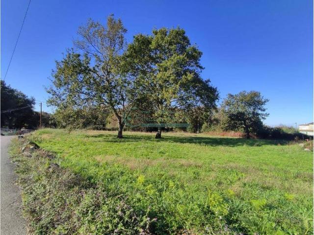 Terreno en venta en Vigo, Galicia
