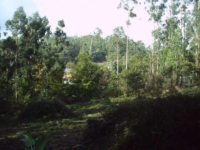 Terreno en venta en Candeán, Vigo