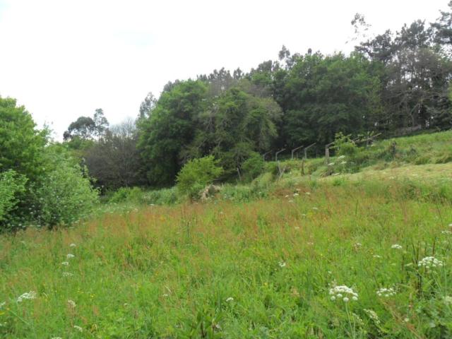 Terreno en venta en Vigo, Galicia