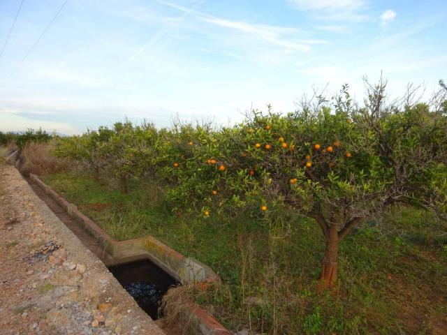 Terreno en venta en la Plana Baixa, Valencia