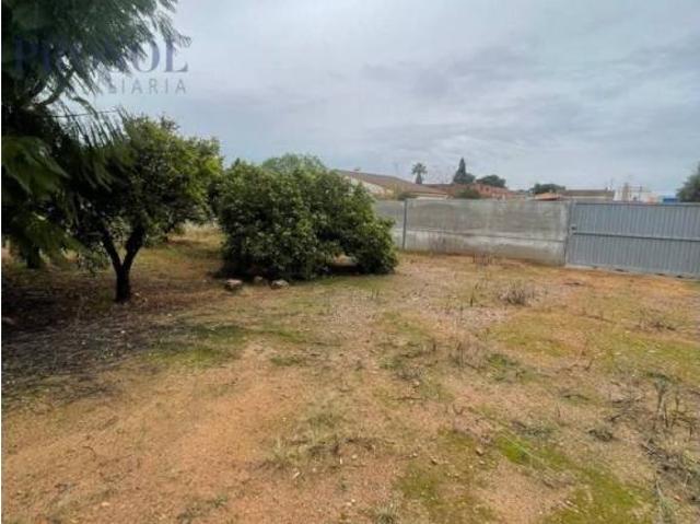 Terreno en venta en la Plana Baixa, Valencia