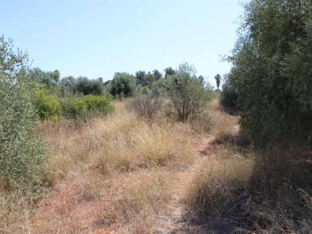 Terreno en venta en la Plana Baixa, Valencia