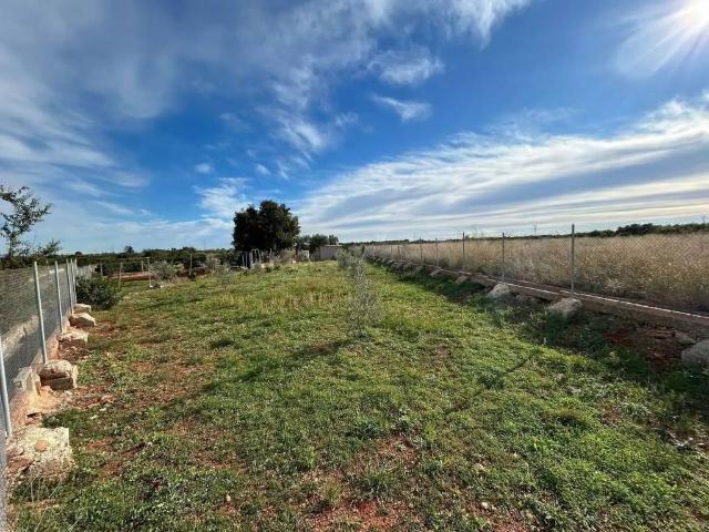 Terreno en venta en la Plana Baixa, Valencia