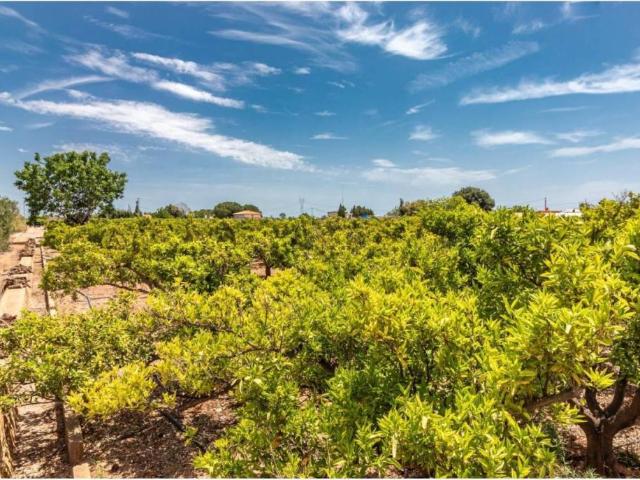 Terreno en venta en la Plana Baixa, Valencia