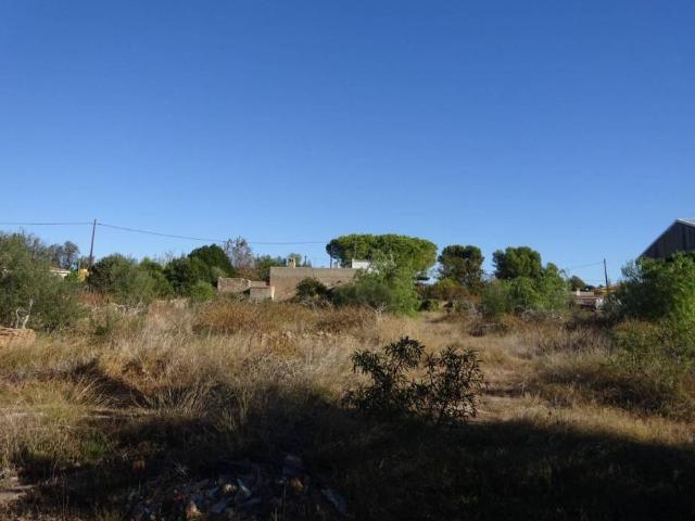 Terreno en venta en la Plana Baixa, Valencia