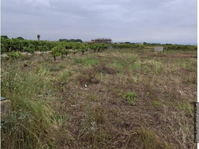 Terreno en venta en la Plana Baixa, Valencia