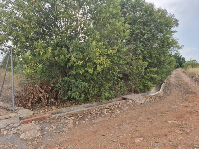 Terreno en venta en la Plana Baixa, Valencia