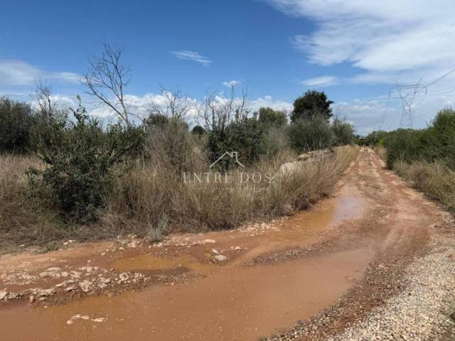Terreno en venta en la Plana Baixa, Valencia