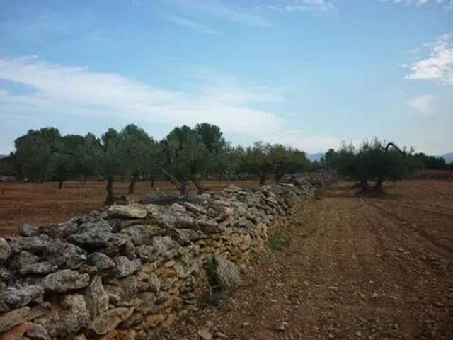 Terreno en venta en Alt Camp, Catalunya