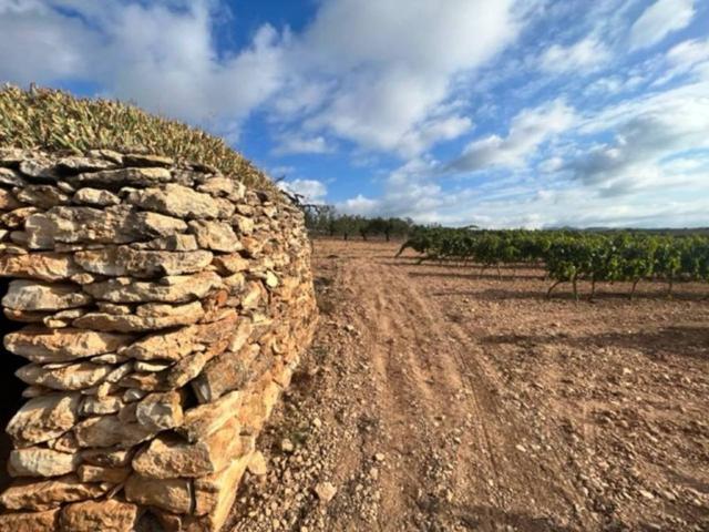 Terreno en venta en Alt Camp, Catalunya
