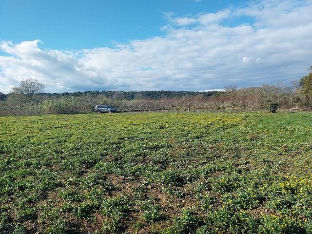 Terreno en venta en Viladamat