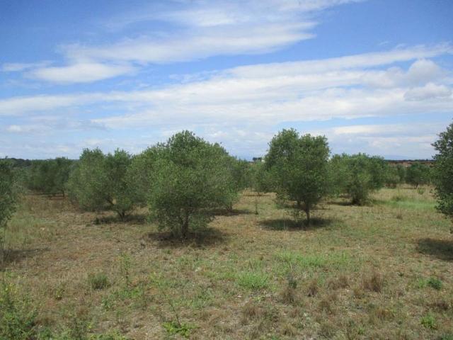 Terreno en venta en Viladamat