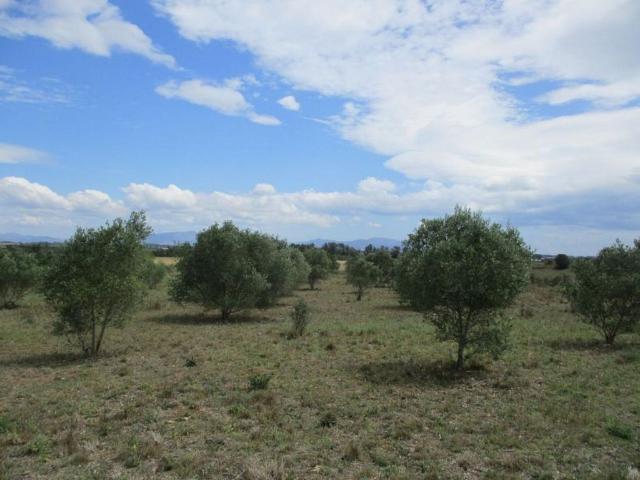 Terreno en venta en Alt Empordà, Catalunya