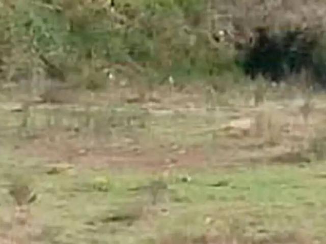 Terreno en venta en les Forques, Vilafant