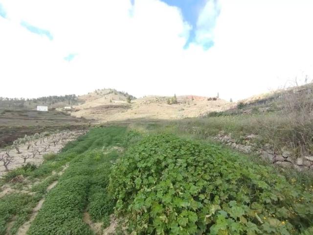 Terreno en venta en Vilaflor de Chasna, Vilaflor